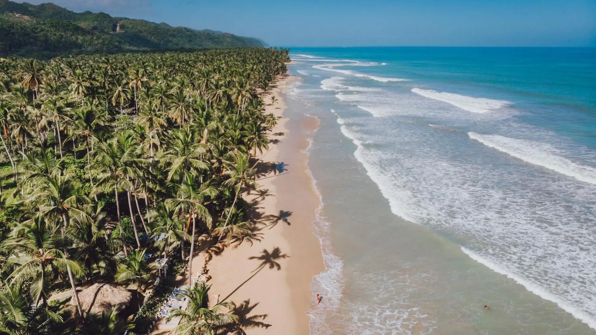 Wyndham Alltra Samana All Inclusive Resort